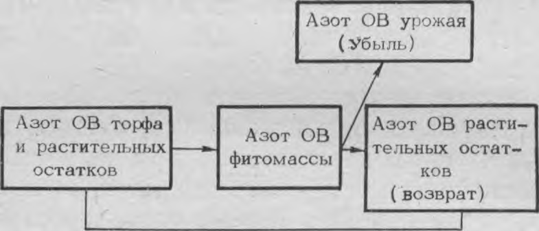 Кругооборот азота органического вещества растительных остатков на торфяных почвах