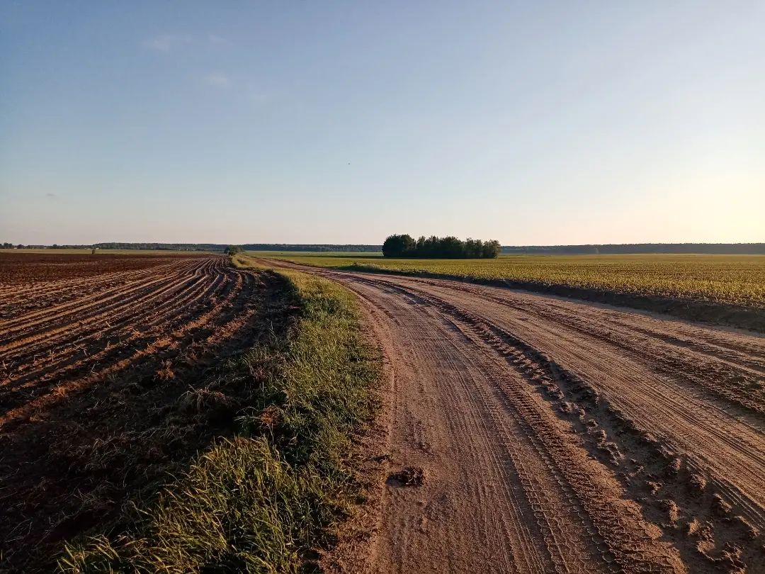 Landscape of Belarusian Polesia