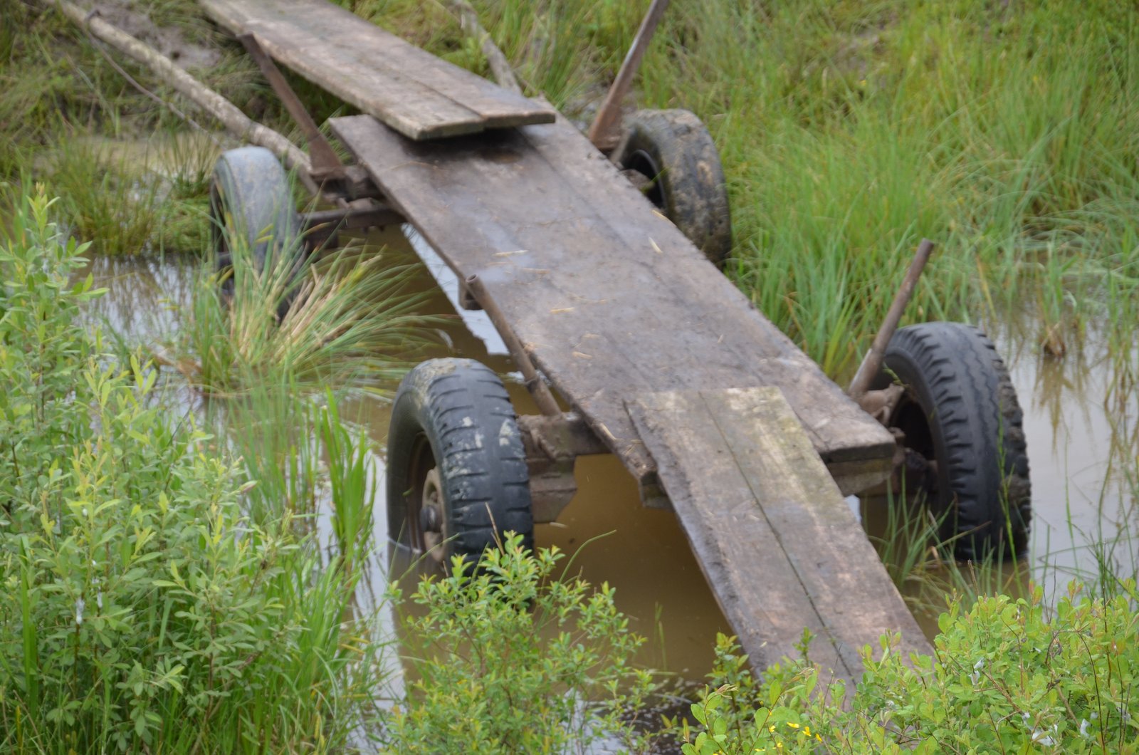 Wooden footbridge across Polesian marsh